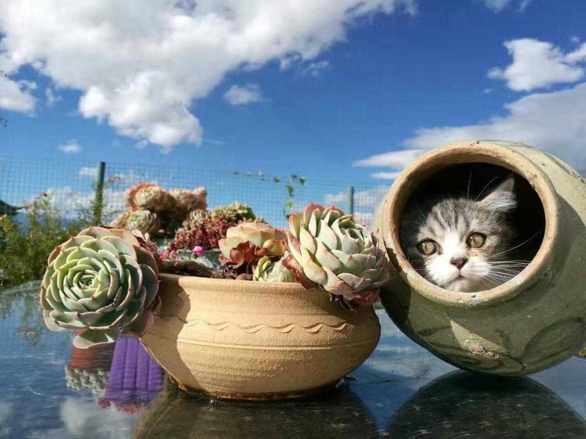 ホテル Dali Garden エクステリア 写真